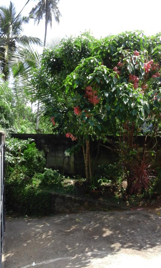 Coco One Holiday Inn Mirissa Luaran gambar